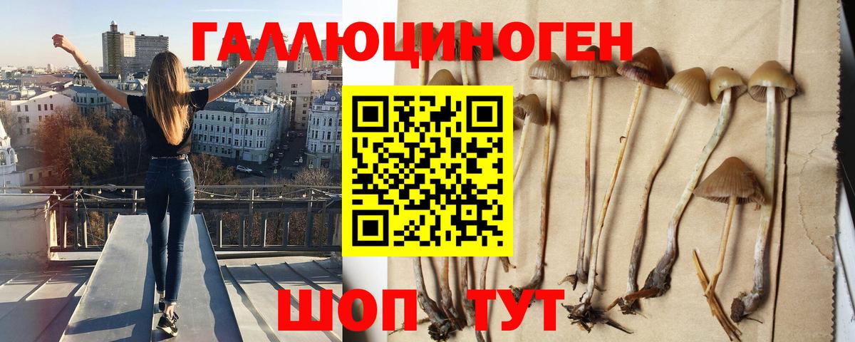 Воткинск  Галлюциногенные грибы Psilocybine cubensis  Псилоцибиновые грибы мицелий  Вход с VPN 